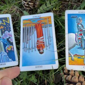 👀 Something cracks open 👀 Your Daily Tarot Reading with Gregory Scott