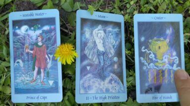 Spiritual awakenings! 29 April 2021 Your Daily Tarot Reading with Gregory Scott