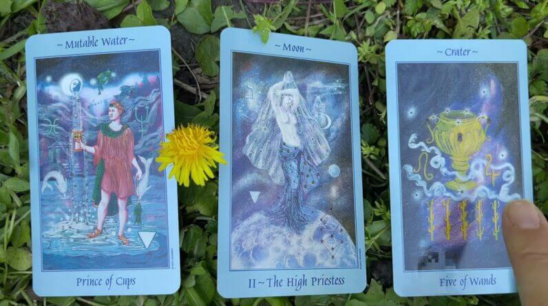 Spiritual awakenings! 29 April 2021 Your Daily Tarot Reading with Gregory Scott