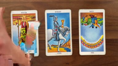 Stop overreacting in any situation! 25 May 2021 Your Daily Tarot Reading with Gregory Scott