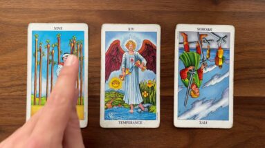 Get off your case! 19 May 2021 Your Daily Tarot Reading with Gregory Scott