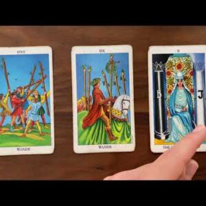 Find your life mission 26 May 2021 Your Daily Tarot Reading with Gregory Scott