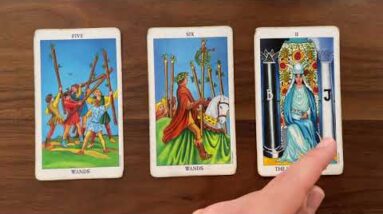 Find your life mission 26 May 2021 Your Daily Tarot Reading with Gregory Scott