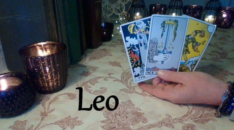 Leo June ❤ Finding Out The Truth Will Change Everything Leo 💲 A Position Of Power In Your Career