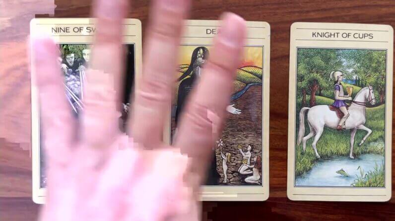 Return home to your true self 22 June 2021 Your Daily Tarot Reading with Gregory Scott
