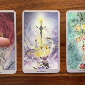 Transform like the Phoenix 27 July 2021 Your Daily Tarot Reading with Gregory Scott