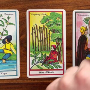 Celebrate the good things in life! 31 July 2021 Your Daily Tarot Reading with Gregory Scott