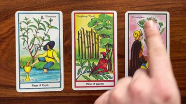 Celebrate the good things in life! 31 July 2021 Your Daily Tarot Reading with Gregory Scott