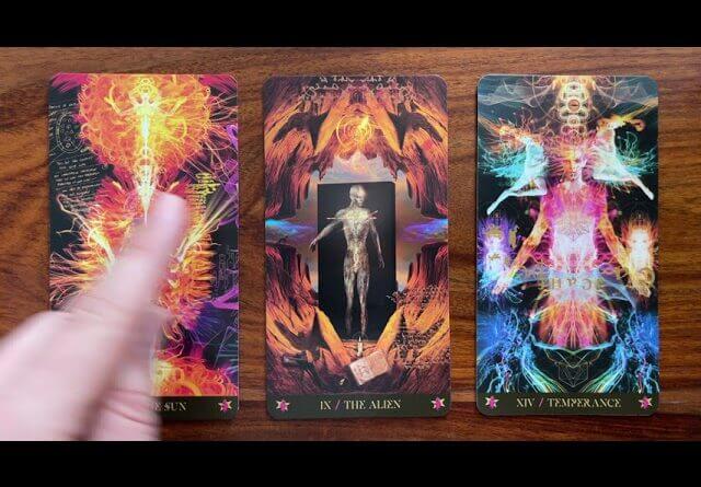 You’re someone special! 22 July 2021 Your Daily Tarot Reading with Gregory Scott
