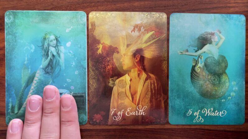 Connect to grow 16 July 2021 Your Daily Tarot Reading with Gregory Scott