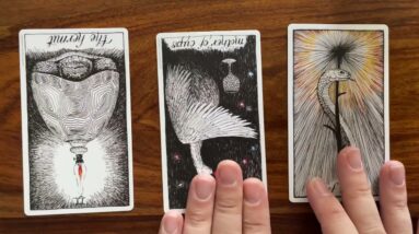 Heal old wounds 27 August 2021 Your Daily Tarot Reading with Gregory Scott
