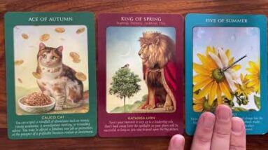 Enjoy yourself! 1 September 2021 Your Daily Tarot Reading with Gregory Scott