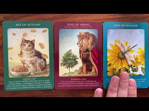 Enjoy yourself! 1 September 2021 Your Daily Tarot Reading with Gregory Scott
