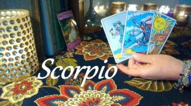 Scorpio September 2021 ❤ Secret Feelings Coming To Light Scorpio ❤ Your Future Love