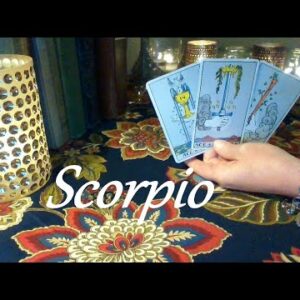 Scorpio September 2021 ❤ "Show Me Your True Intentions" 💲 A Solid Offer In Career