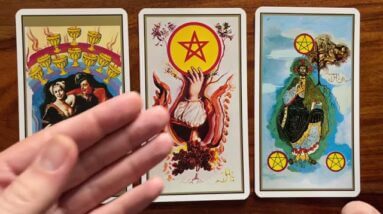 Fall in love with your life! 17 August 2021 Your Daily Tarot Reading with Gregory Scott
