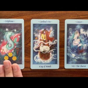 Excel in all areas! 9 August 2021 Your Daily Tarot Reading with Gregory Scott