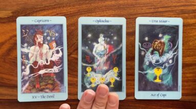 Discover the truth! 14 August 2021 Your Daily Tarot Reading with Gregory Scott