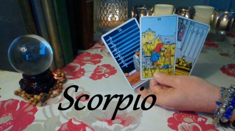 Scorpio Mid August ❤