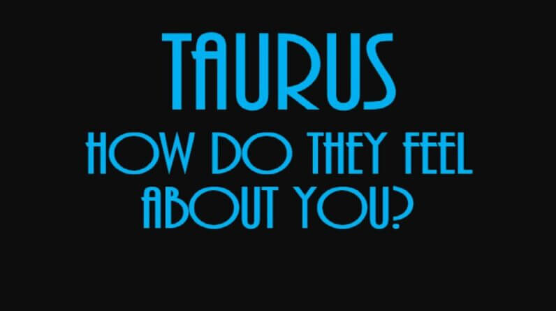 Taurus August 2021 ❤ How Do They Feel About You?