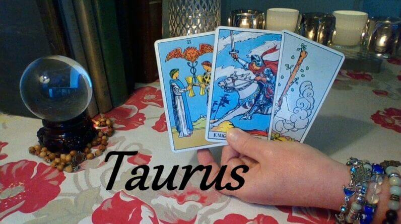 Taurus Mid August 2021 ❤ A Whirlwind Romance For Taurus