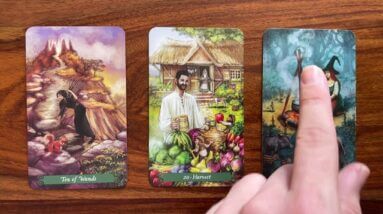 Live in the present 16 August 2021 Your Daily Tarot Reading with Gregory Scott