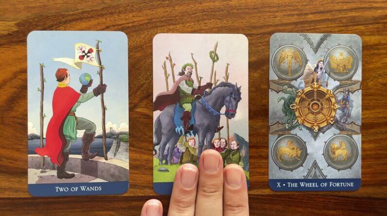 Life supports you! 13 August 2021 Your Daily Tarot Reading with Gregory Scott