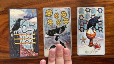 Let life surprise you 20 August 2021 Your Daily Tarot Reading with Gregory Scott