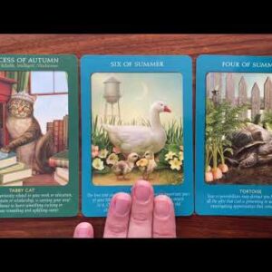 The opportunity to be of service 23 September 2021 Your Daily Tarot Reading with Gregory Scott