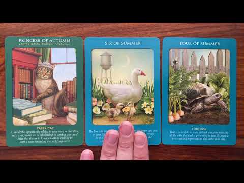 The opportunity to be of service 23 September 2021 Your Daily Tarot Reading with Gregory Scott