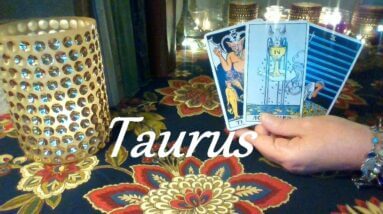 Taurus Mid September 2021 ❤ Raw Chemistry & Pure Infatuation Taurus