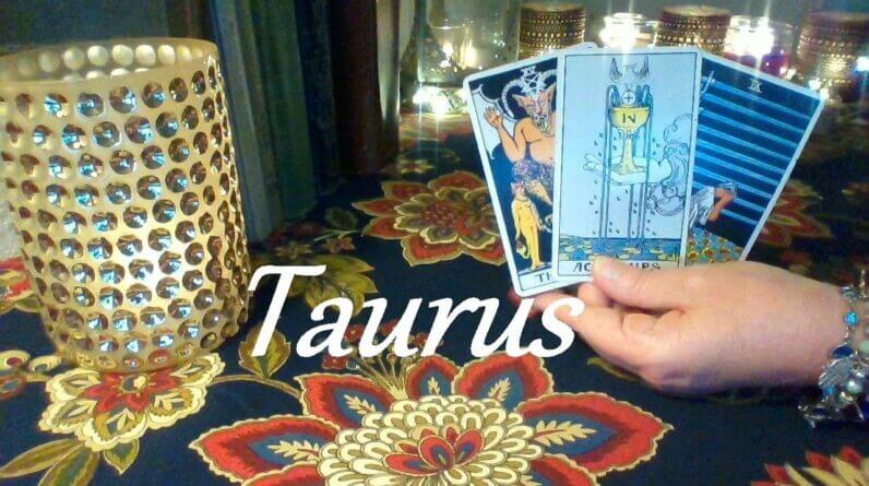 Taurus Mid September 2021 ❤ Raw Chemistry & Pure Infatuation Taurus
