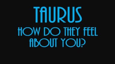 Taurus September 2021 ❤ The Player Wants Commitment Taurus