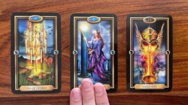 A new you emerges! 4 September 2021 Your Daily Tarot Reading with Gregory Scott