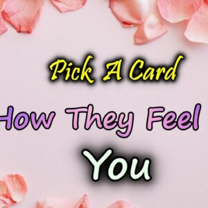 How They Are Currently Feeling About You🥺💖|PICK A CARD🔮 Love Reading Current Feeling of your partner