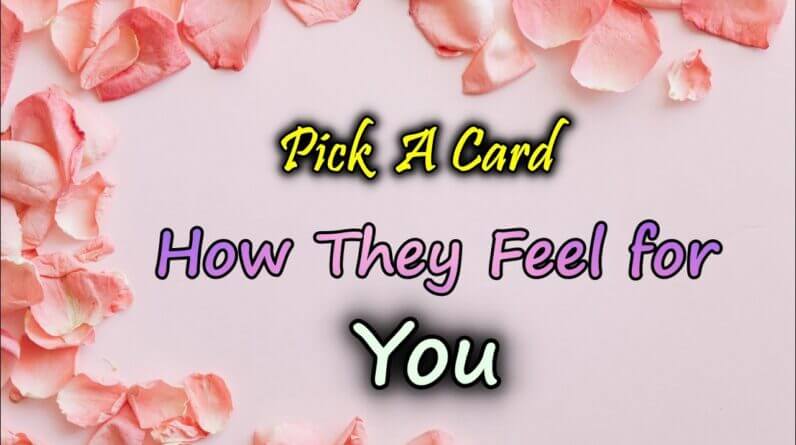 How They Are Currently Feeling About You🥺💖|PICK A CARD🔮 Love Reading Current Feeling of your partner