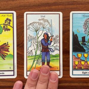 You have the chance to begin anew 25 October 2021 Your Daily Tarot Reading with Gregory Scott