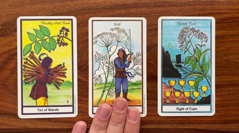 You have the chance to begin anew 25 October 2021 Your Daily Tarot Reading with Gregory Scott