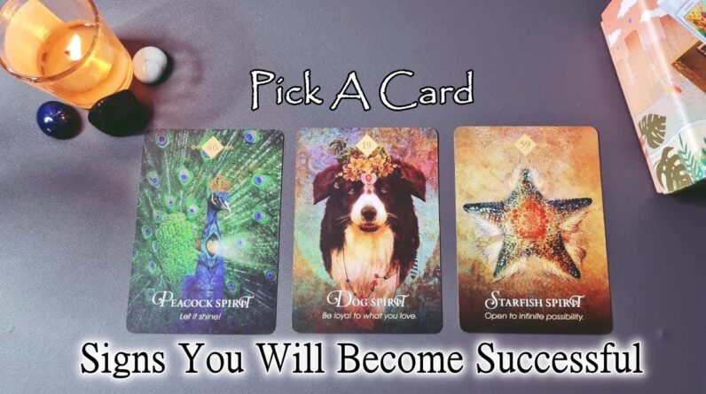 Signs You Will Become Successful⭐Most Accurate ☾Tarot  • psychic reading☽ Will You Be Successful?
