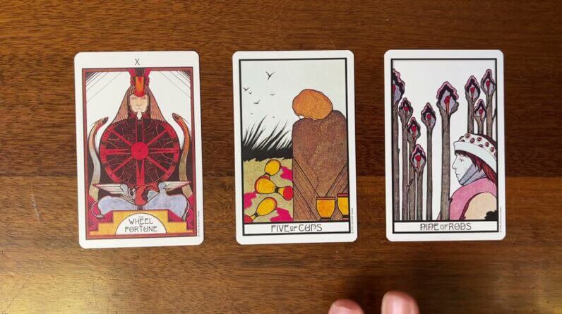 Choose again! 2 October 2021 Your Daily Tarot Reading with Gregory Scott