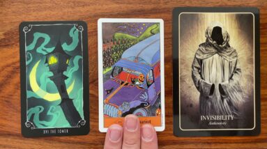 Radically improve your entire life 31 October 2021 Your Daily Tarot Reading with Gregory Scott
