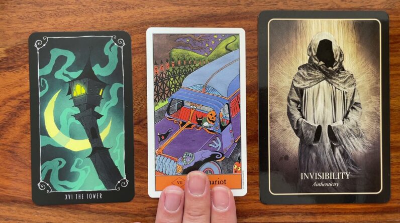 Radically improve your entire life 31 October 2021 Your Daily Tarot Reading with Gregory Scott