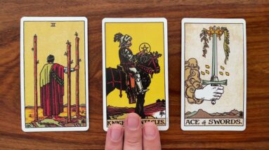 Make good decisions 6 November 2021 Your Daily Tarot Reading with Gregory Scott