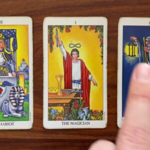 Dare to be an original 23 November 2021 Your Daily Tarot Reading with Gregory Scott