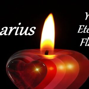 Aquarius November 2021 ❤️ True Bliss With The One You've Always Loved ❤️ Your Eternal Flame