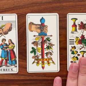 Pursue what you love 24 November 2021 Your Daily Tarot Reading with Gregory Scott
