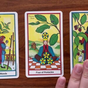 Suit yourself! 13 November 2021 Your Daily Tarot Reading with Gregory Scott