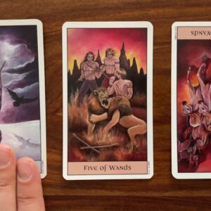The path is made clear 16 November 2021 Your Daily Tarot Reading with Gregory Scott