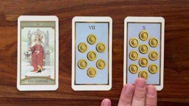 Reap the rewards! 28 November 2021 Your Daily Tarot Reading with Gregory Scott
