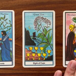 Experience inner freedom! 4 November 2021 Your Daily Tarot Reading with Gregory Scott